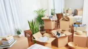 Packers and Movers Anand Nagar Pune