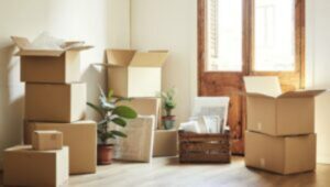 Packers and Movers Dhankawadi Pune