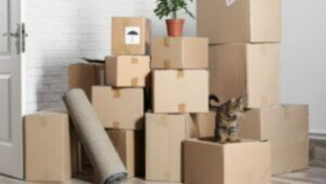 Packers and Movers Fatima Nagar Pune